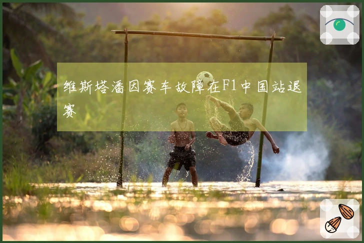 维斯塔潘因赛车故障在F1中国站退赛